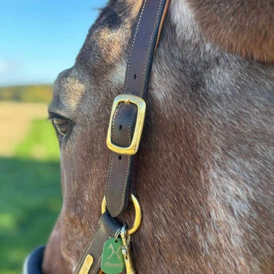 Individuelle HorseTags für Halfter und Strick